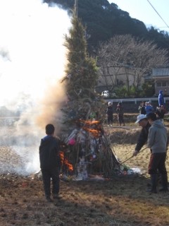 IMG_0392 (240x320)