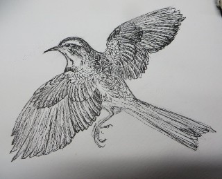 IMG_8772 (320x259)