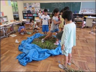 s-IMG_0850