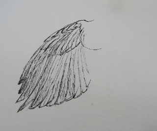 IMG_8764 (320x267)
