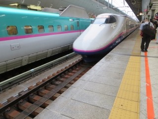 IMG_3461 (320x240)