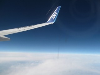IMG_0562 (320x240)
