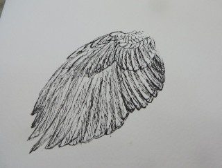 IMG_8766 (320x243)