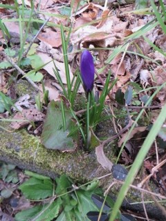 IMG_8744 (240x320)