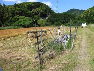 s-IMG_8034