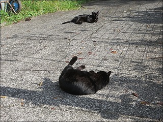s-IMG_4342