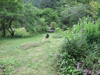 s-IMG_8016
