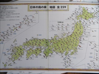 s-IMG_3171
