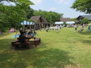 IMG_5459 (320x240)