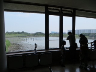 IMG_5455 (320x240)