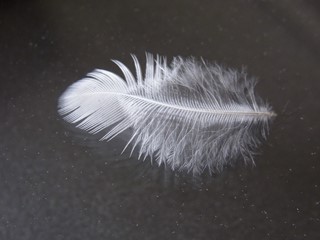 s-R0017504