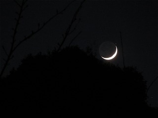 s-IMG_1620