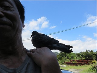 s-IMG_4364