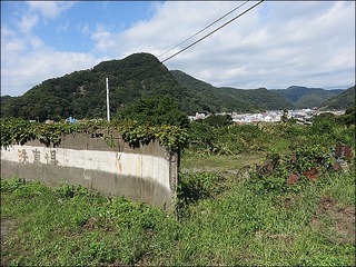 s-IMG_4361