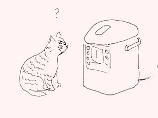 IMG (2)a