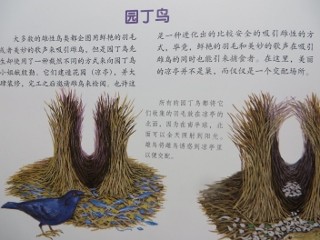 IMG_3562 (320x240)