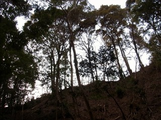 R0025056 (500x375)