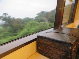 IMG_5462 (320x240)