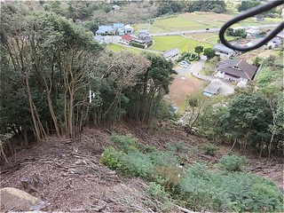 s-IMG_0980