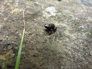 s-IMG_8055