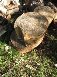 IMG_2818 (240x320)