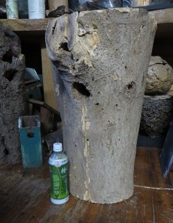 IMG_2834 (249x320)