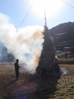IMG_0391 (240x320)