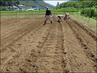 s-IMG_0811