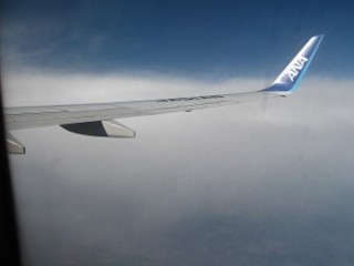 IMG_0535 (320x240)