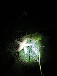 s-IMG_9170