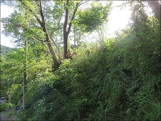 s-IMG_7837