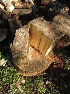 IMG_2828 (240x320)