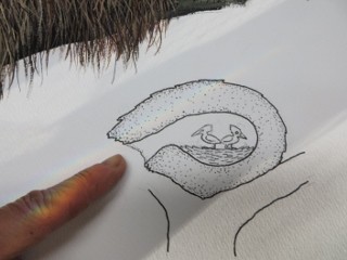 IMG_3687 (320x240)
