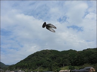 s-IMG_4257