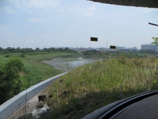 IMG_5454 (320x240)