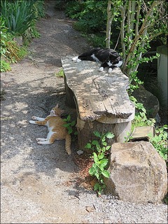 s-IMG_7631