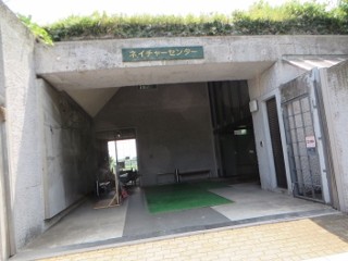 IMG_5452 (320x240)