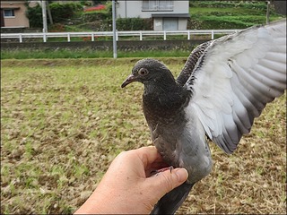 s-IMG_4254