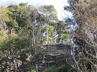 s-IMG_0958
