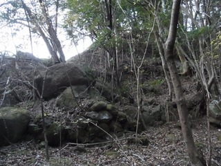 R0025064 (500x375)