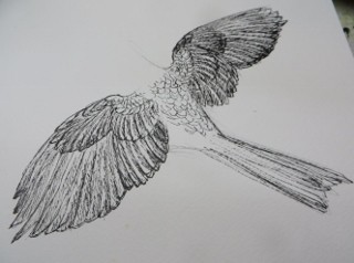 IMG_8769 (320x238)