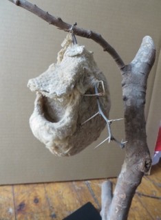 IMG_8749 (234x320)
