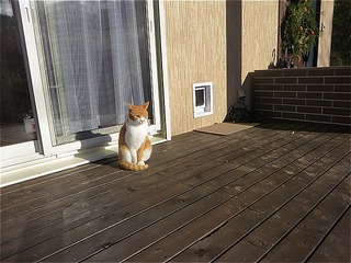 s-IMG_1521