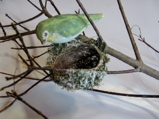 IMG_0319 (320x240)