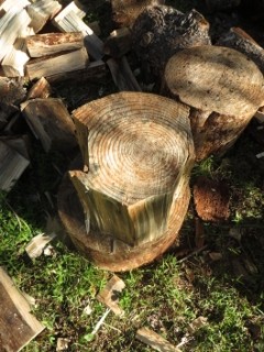 IMG_2823 (240x320)