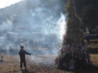 IMG_0386 (320x240)