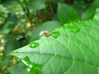 s-IMG_7976