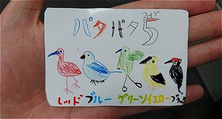 s-DSC_2397 (1024x546)