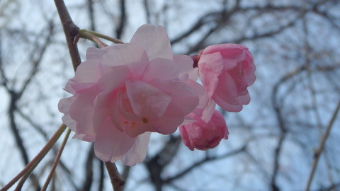 P3310067