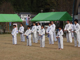 PB270631
